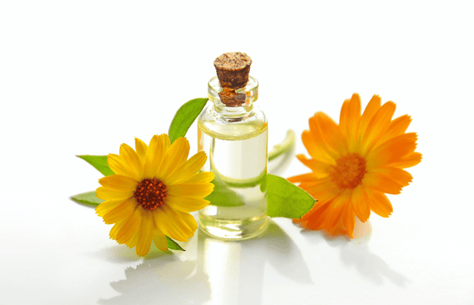 100ml Refined Sunflower Oil