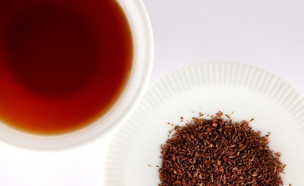 10ml Rooibos Extract HG